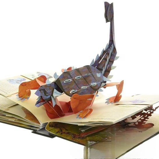 ⏰Weekly special offer: 60% off🦖Encyclopédie 3D Prehistorica Dinosaurs📙HARDCOVE